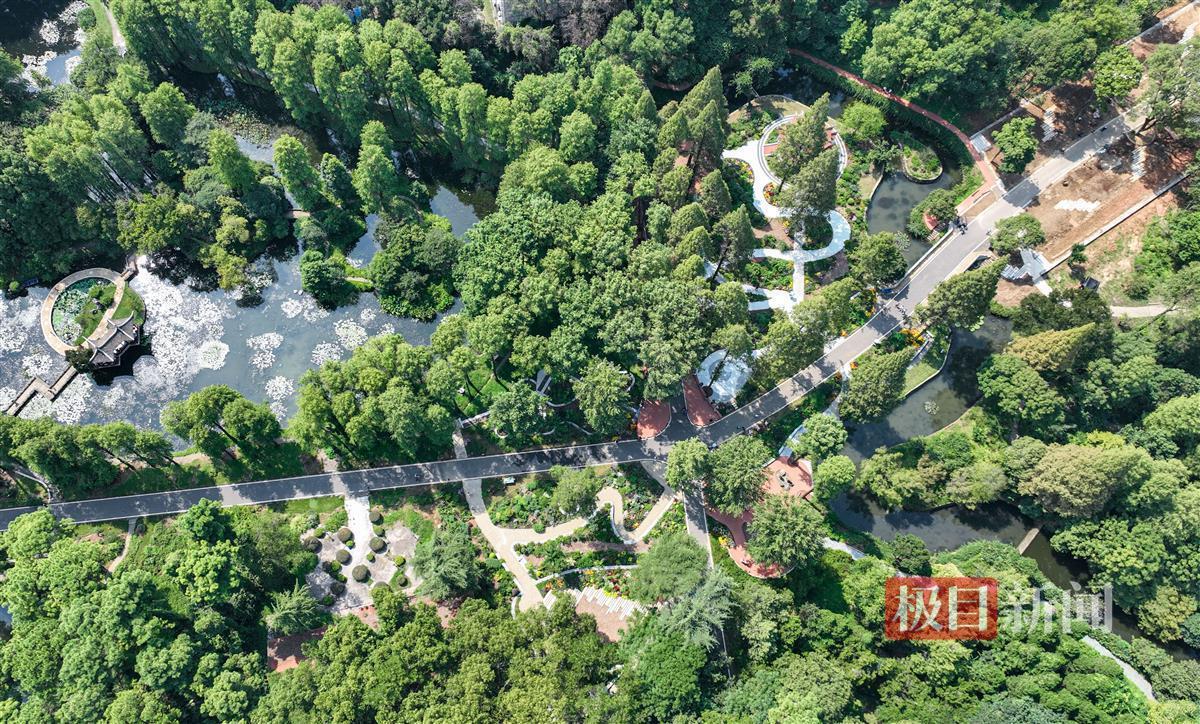 摇钱树高手论坛